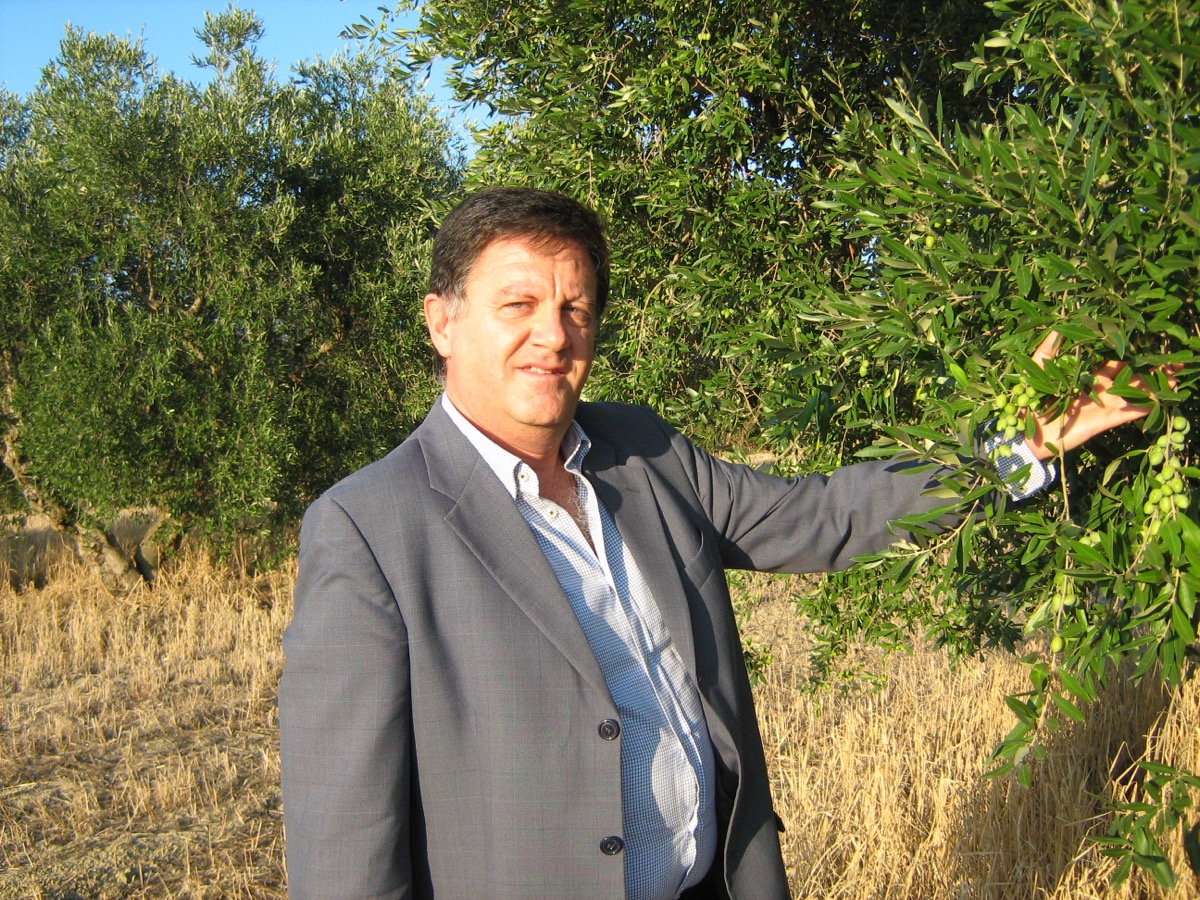 Giovanni Marvulli tra gli ulivi dell'azienda agricola